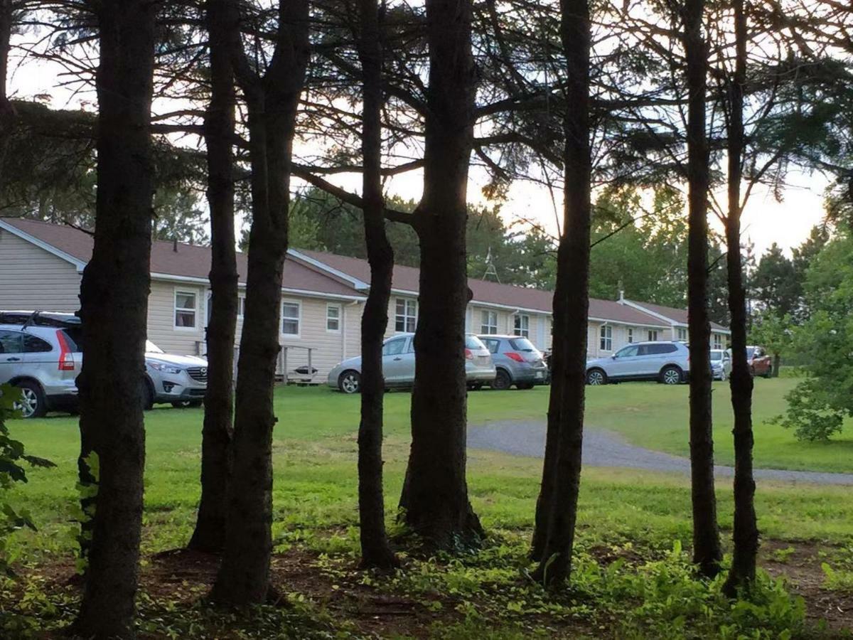Rachel'S Motel And Cottages Surrey Экстерьер фото
